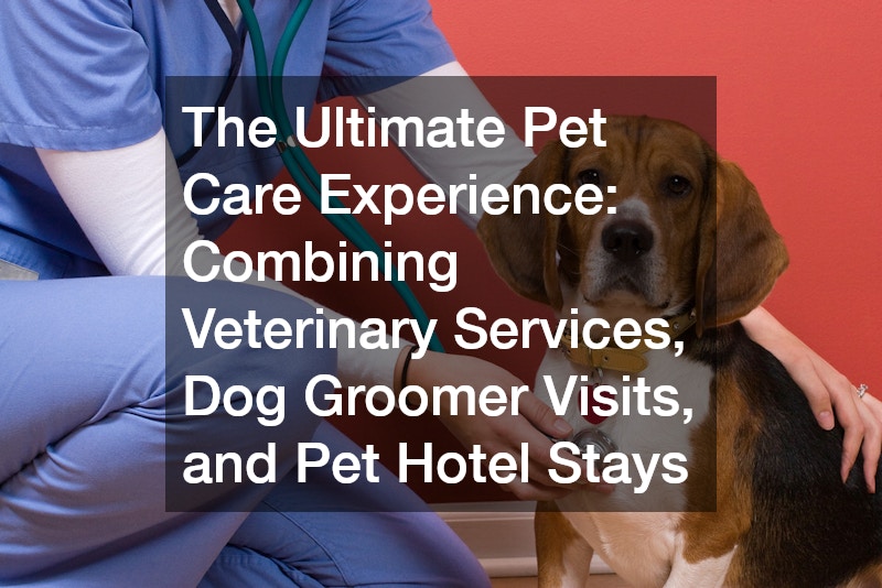The Ultimate Pet Care Experience  Combining Veterinary Services, Dog Groomer Visits, and Pet Hotel Stays